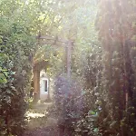 New! De Charme Au Mas De Soleil Goudargues