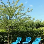 New! De Charme Au Mas De Soleil Goudargues