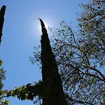 New! De Charme Au Mas De Soleil Διαμέρισμα