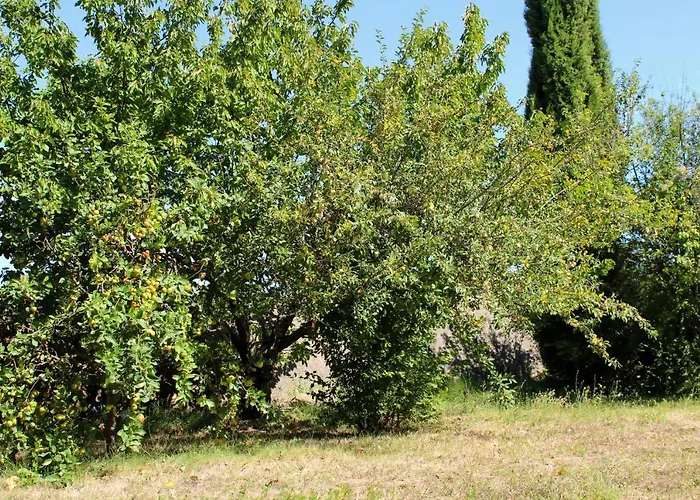 New! De Charme Au Mas De Soleil Goudargues